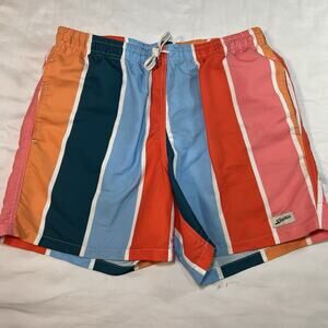 Bather Swim Trunks Size L Multicolor Striped Multigradient Lined Beach Pool Surf